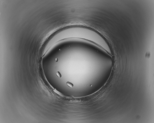 X0000112510440200908311336