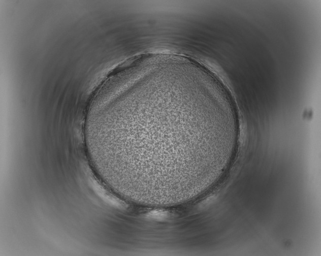 X0000112510441200908311336