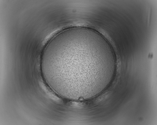 X0000112510442200908311336