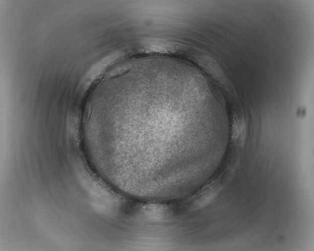 X0000112510444200908311336