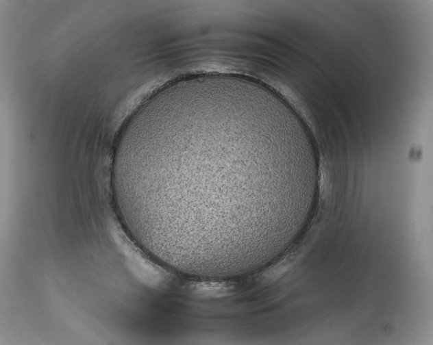 X0000112510445200908311336