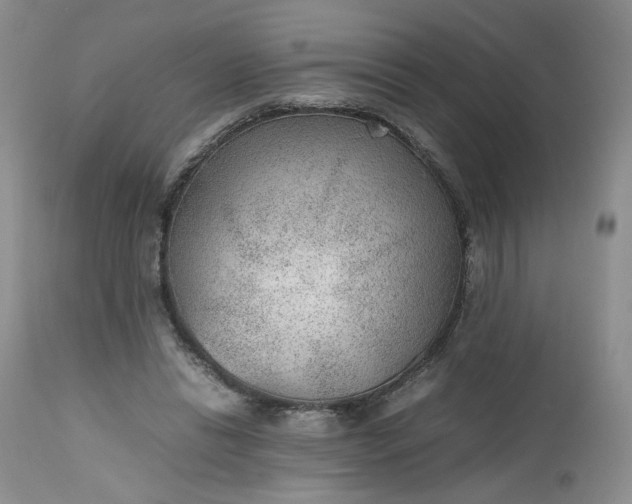 X0000112510446200908311336