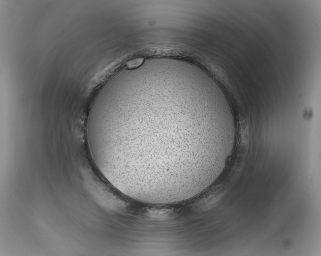 X0000112510450200908311337