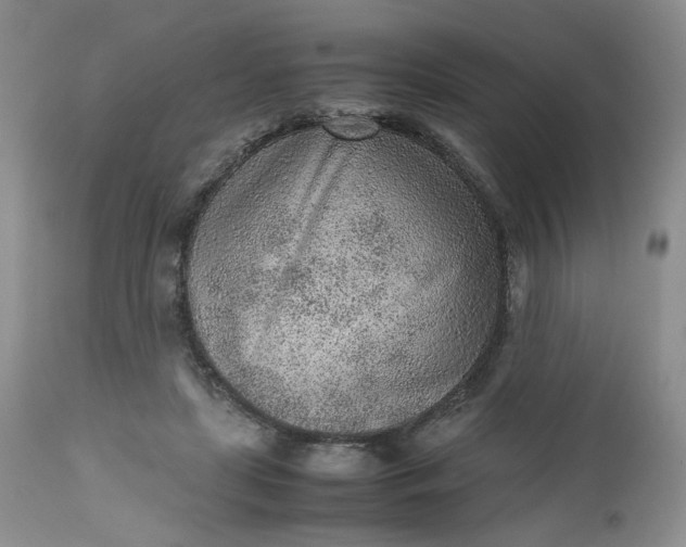 X0000112510451200908311337