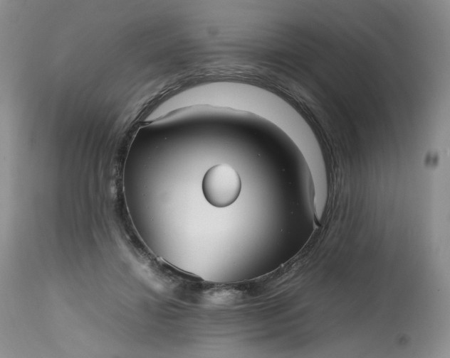 X0000112510452200908311337