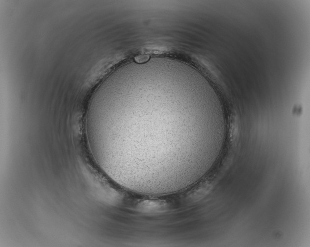 X0000112510455200908311337