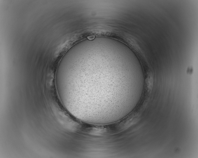 X0000112510458200908311337