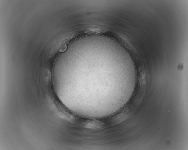 X0000112510459200908311337