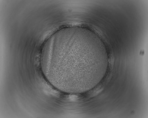 X0000112510462200908311337