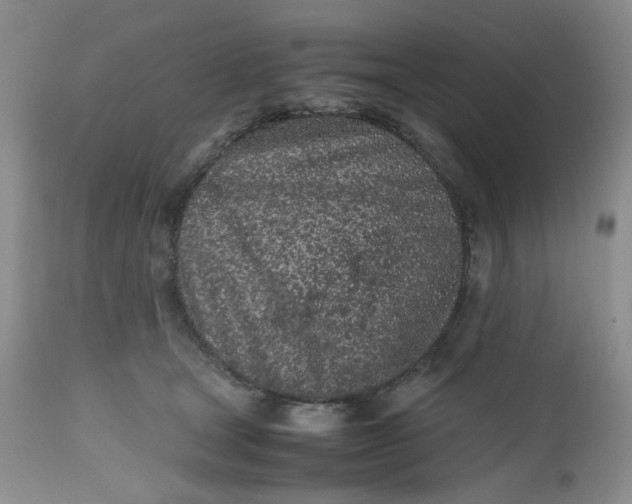 X0000112510465200908311337