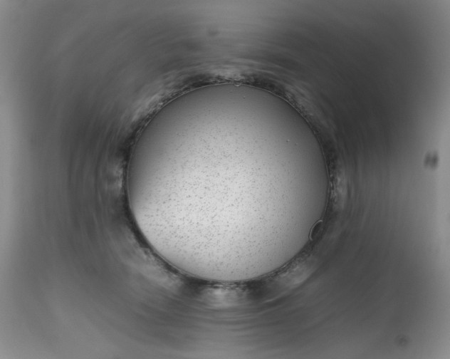 X0000112510466200908311337