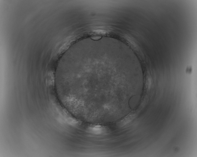 X0000112510467200908311337