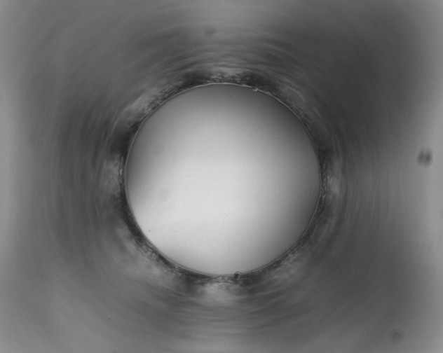 X0000112510468200908311337