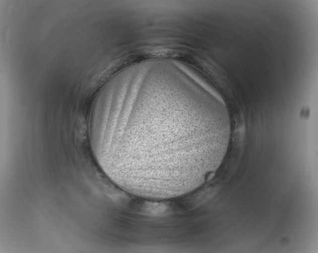 X0000112510469200908311337