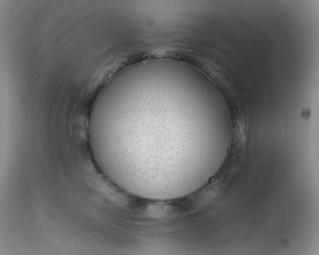 X0000112510470200908311337