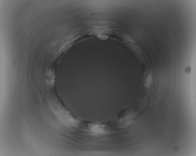 X0000112510471200908311337