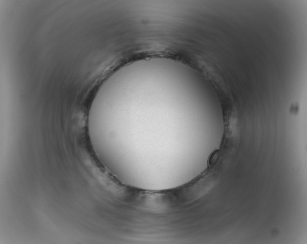 X0000112510472200908311337