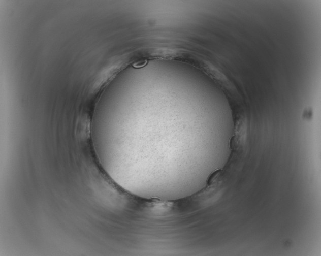 X0000112510474200908311337