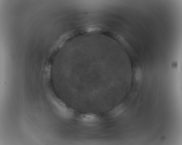 X0000112510475200908311337