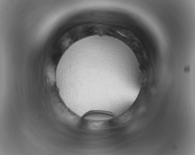 X0000112510479200908311337