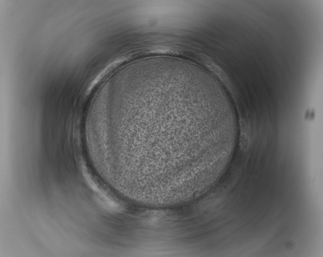 X0000112510482200908311336