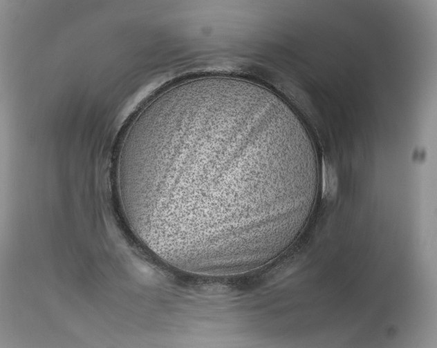 X0000112510483200908311336