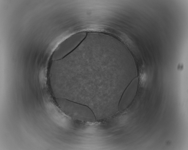 X0000112510484200908311336