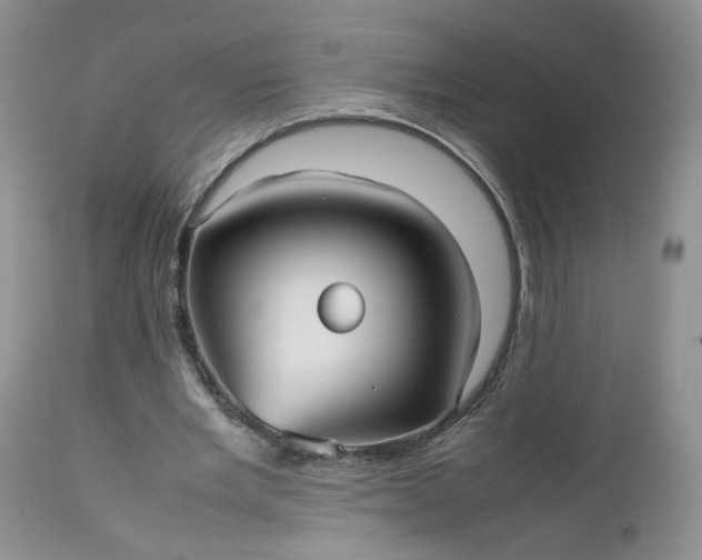 X0000112510485200908311336