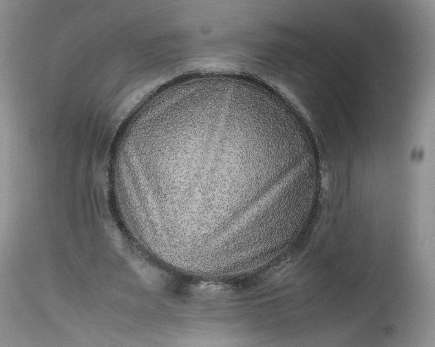 X0000112510487200908311336