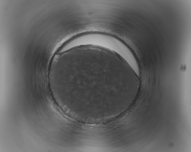 X0000112510488200908311336