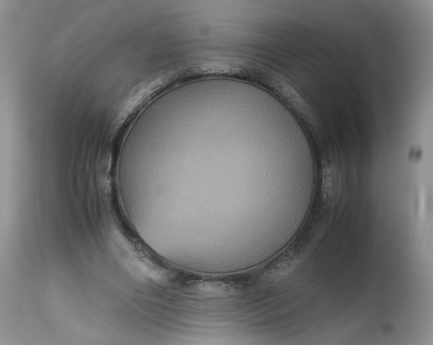 X0000112510490200908311336