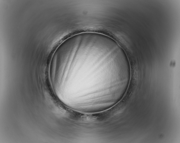 X0000112510491200908311336