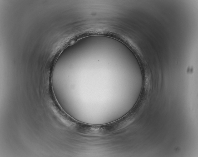 X0000112510493200908311336