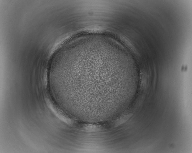 X0000112510494200908311336