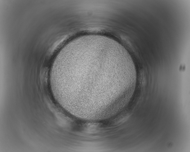 X0000112510495200908311336