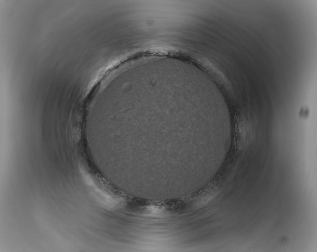 X0000112510496200908311336