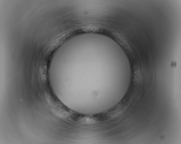 X0000112510498200908311336