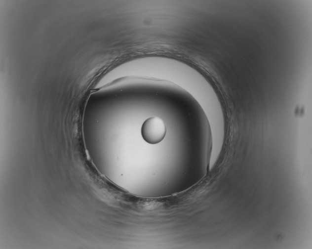 X0000112510501200908311336