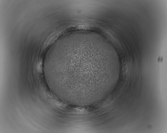 X0000112510502200908311336