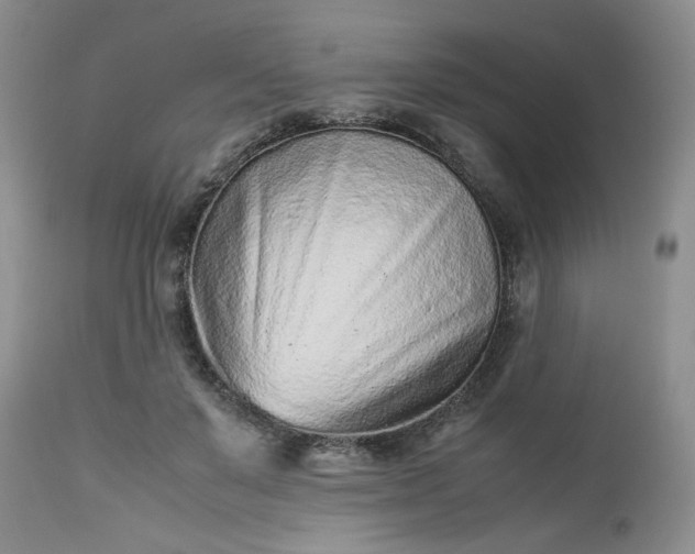 X0000112510503200908311336