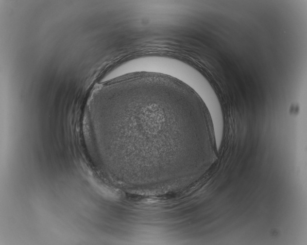 X0000112510504200908311336