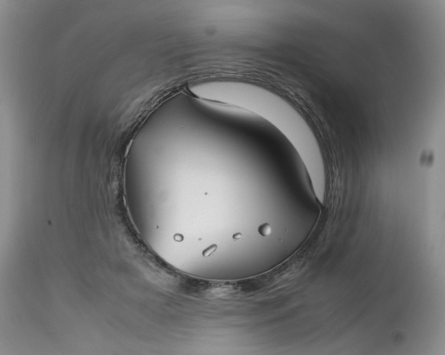 X0000112510505200908311336