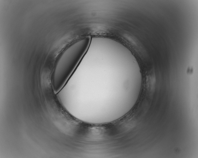 X0000112510508200908311336