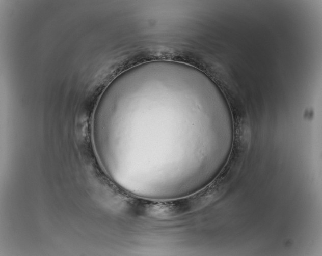 X0000112510511200908311336