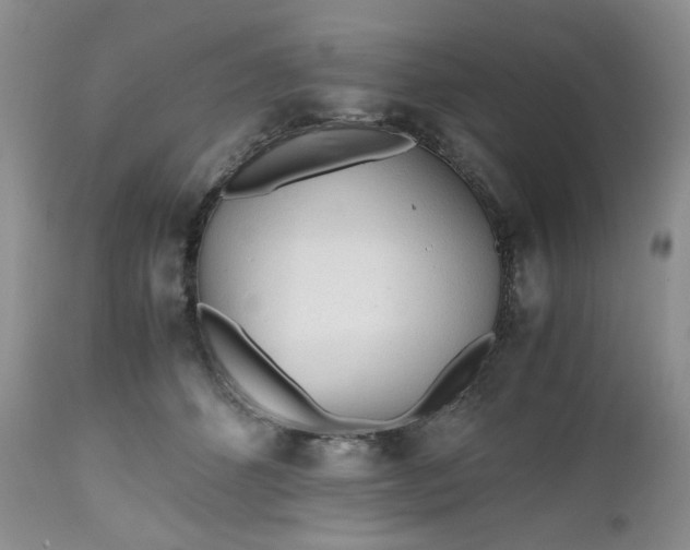 X0000112510512200908311336