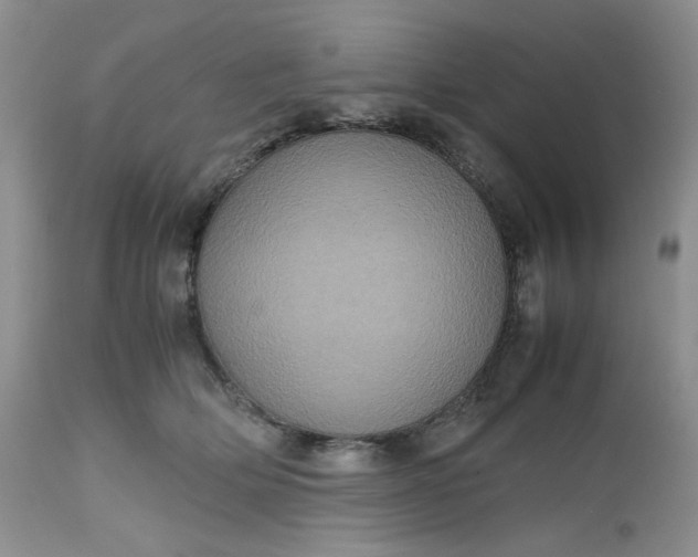 X0000112510514200908311336