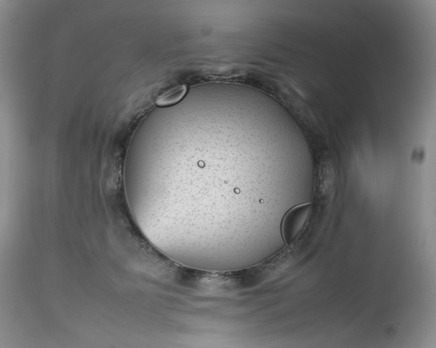 X0000112510515200908311336