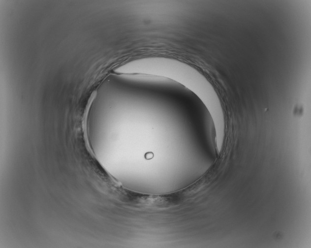 X0000112510517200908311336