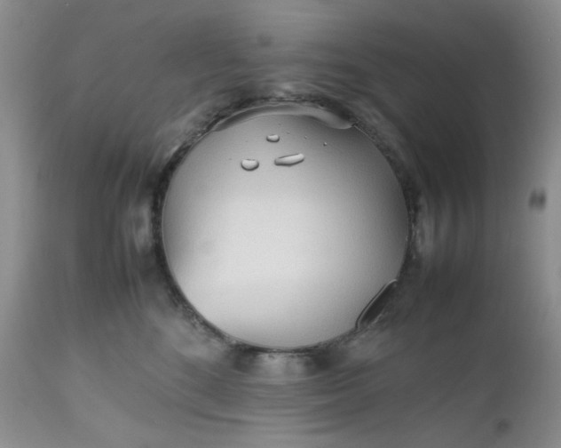 X0000112510520200908311336