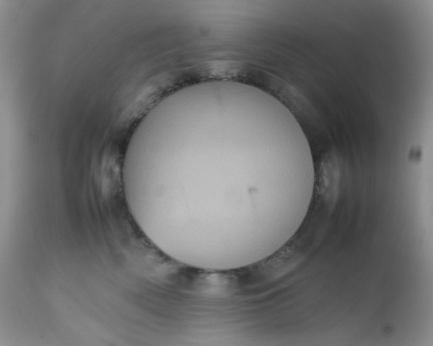 X0000112510522200908311336